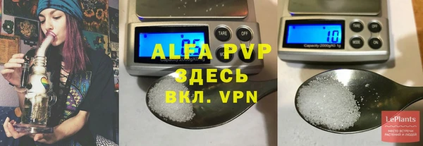 прущие грибы Белокуриха