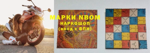 прущие грибы Белокуриха