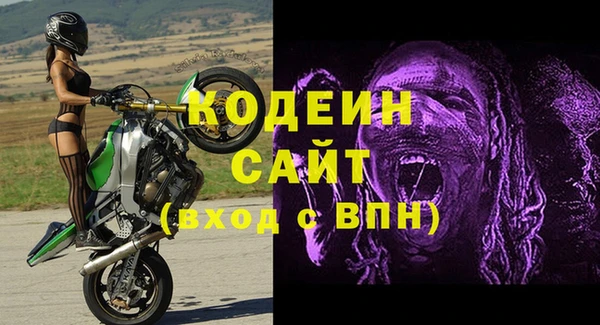 прущие грибы Белокуриха