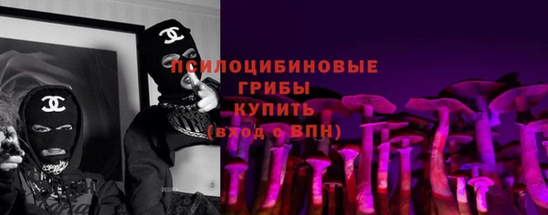 прущие грибы Белокуриха