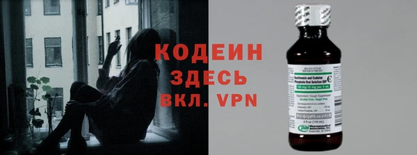 прущие грибы Белокуриха