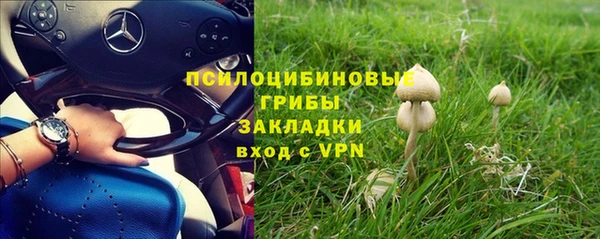дурь Беломорск